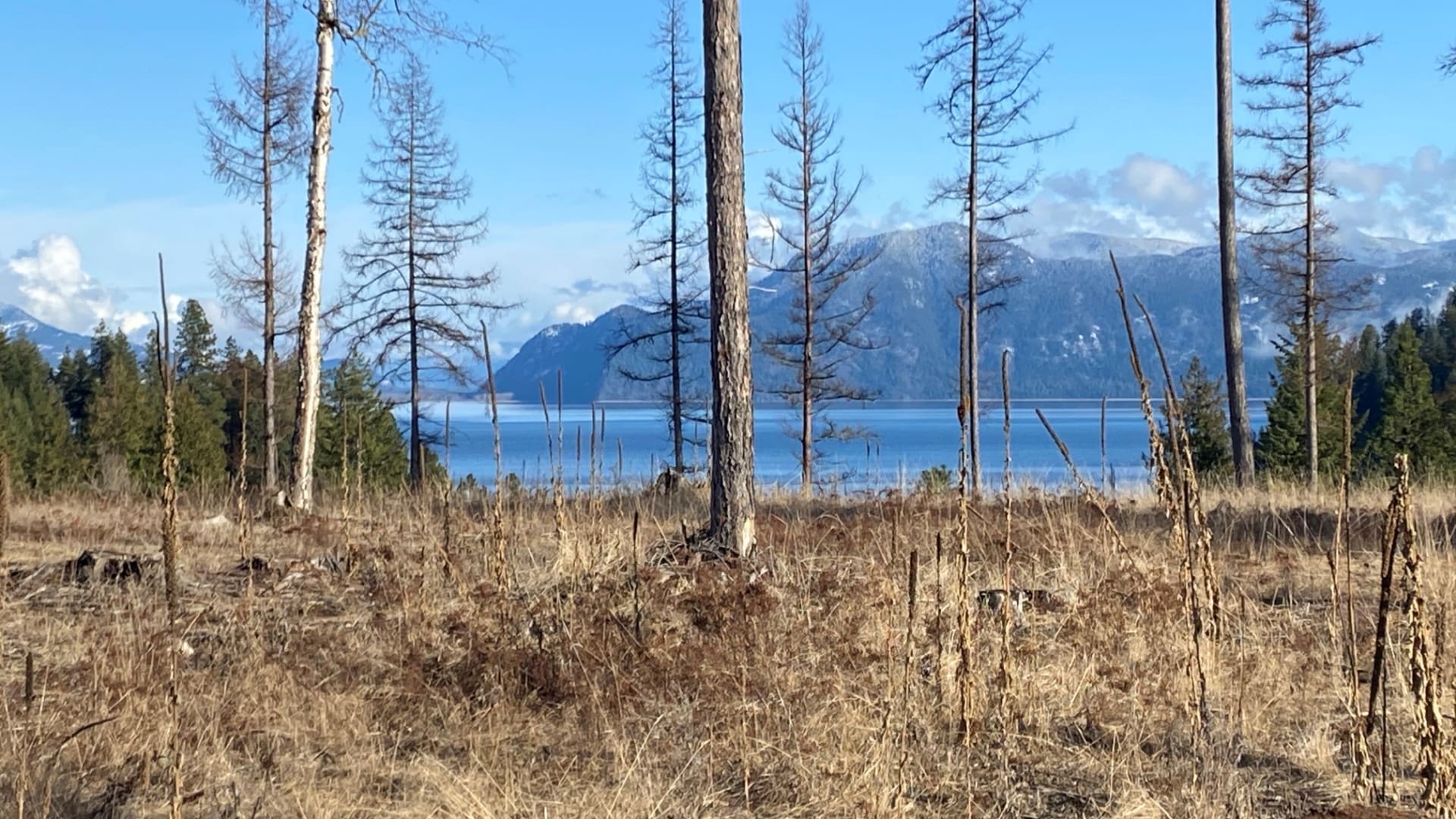 Camp Bay Idaho Lot 15